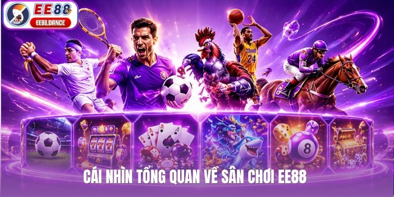 Cái nhìn tổng quan về sân chơi EE88